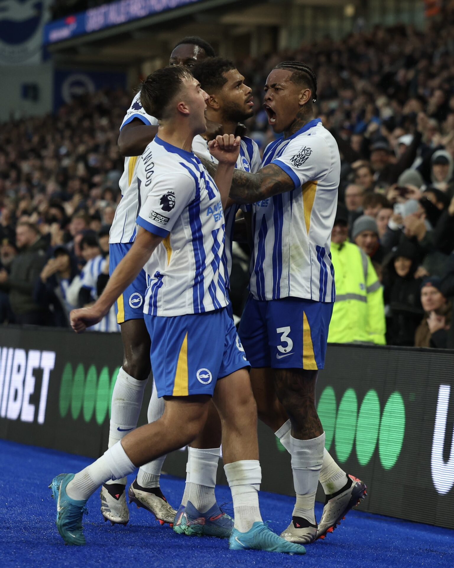 Jugadores del Brighton