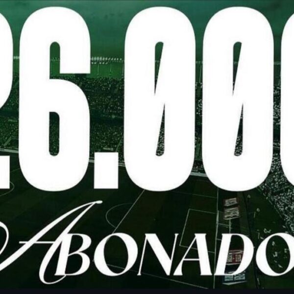 El Elche CF bate su récord histórico: 26.000 abonados franjiverdes