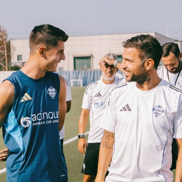 Spanish Swan… ¡Como!